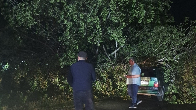 Bartın'da şiddetli fırtına: ağaçlar Otomobillerin üzerine devrildi