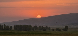 Güroymak'ta gün batımı görsel şölen sundu