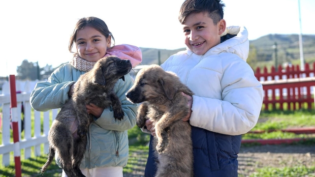 Büyükşehir'den Dikili'ye tam teşekküllü sokak hayvanları kampüsü