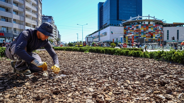 Büyükşehirden kuraklığa karşı sürdürülebilir peyzaj
Kurakçıl Peyzaj uygulamalarıyla hem doğa korunuyor hem tasarruf sağlanıyor