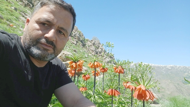 Hakkari'de 2 bin 700 rakımda ters laleler görüntülendi