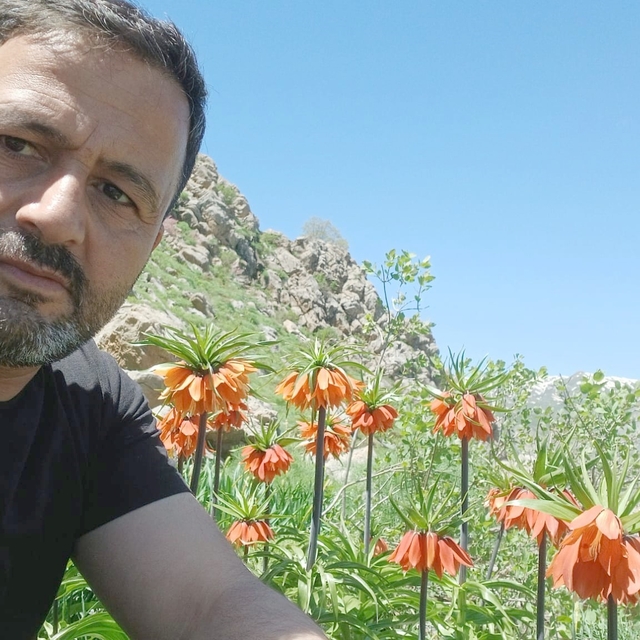 Hakkari'de 2 bin 700 rakımda ters laleler görüntülendi