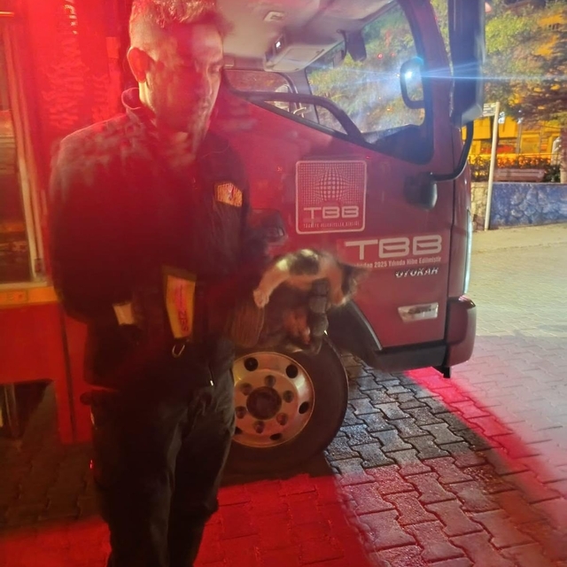 Motor kısmına sıkışan kedi için seferber oldular