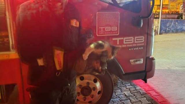 Motor kısmına sıkışan kedi için seferber oldular
