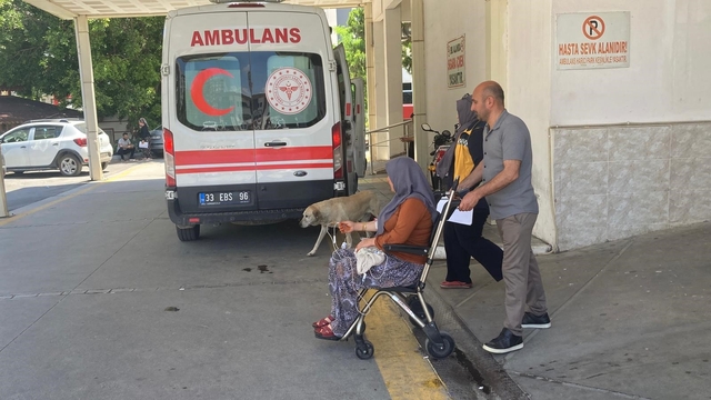 Mantar yiyen 7 kişi zehirlenme şüphesiyle hastaneye kaldırıldı