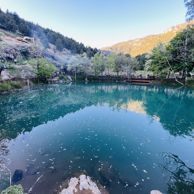 Kahramanmaraş'ta "Yeşilgöz" göz kamaştırıyor