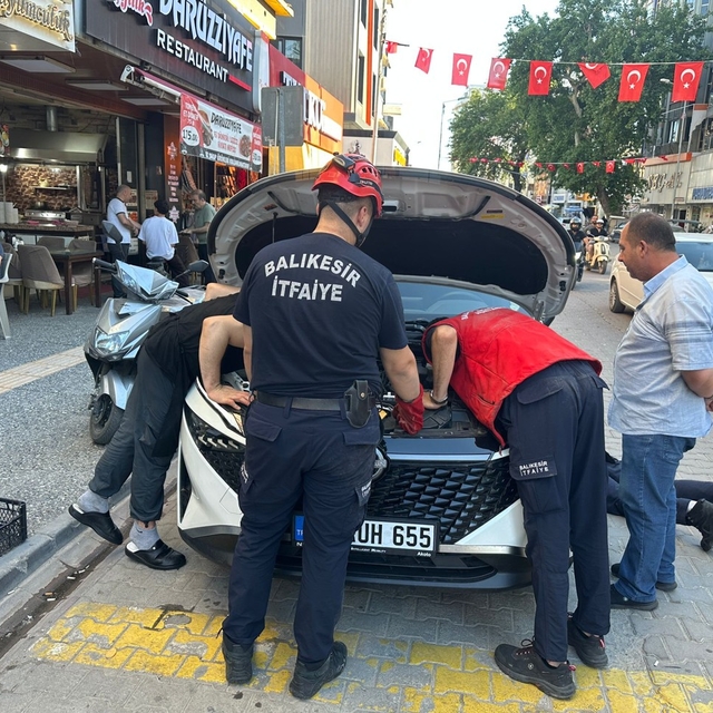 Kaputa saklanan yavru kedi, itfaiyeyi ekibini peşinden koşturdu