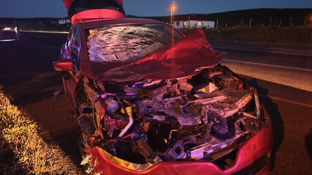 Bingöl'de ineğe çarpan otomobildeki 1 kişi yaralandı