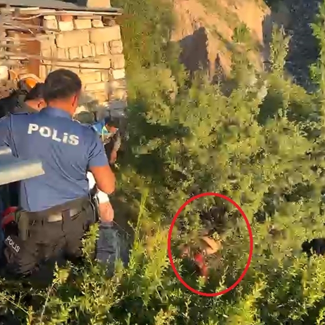 Tedaviyi reddedip kaçtı, dere yatağına düşerek ağaçta asılı kaldı