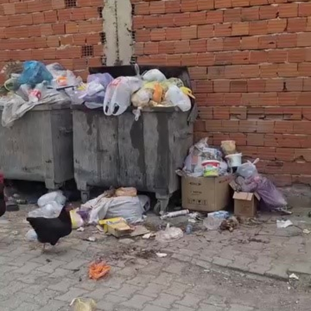 2 haftadır alınmayan çöpler tepki çekti