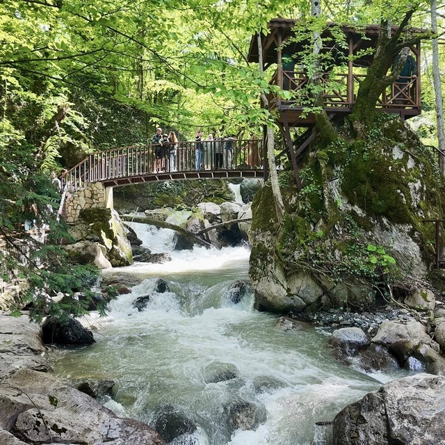Bayram tatilinin rotası Düzce oldu
Aydınpınar ve Samandere tabiat parkları...