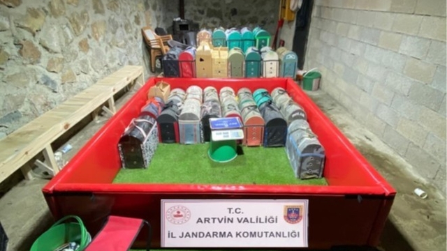 Artvin'de horoz dövüşüne jandarma baskını: 39 kişiye toplam 500 bin lira ceza