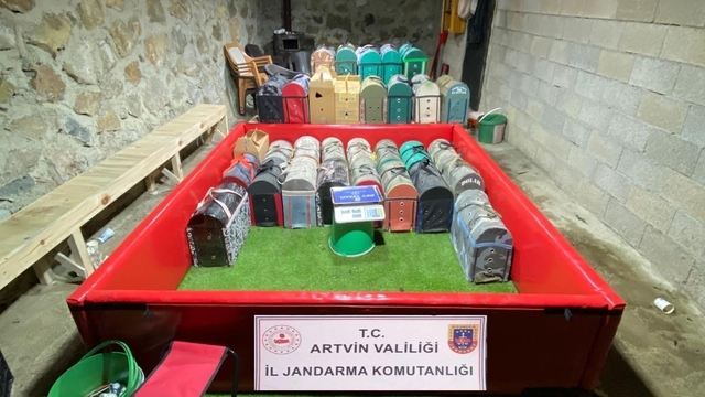 Artvin'de 'horoz dövüşü' operasyonu; 39 kişiye toplam 508 bin 248 TL ceza