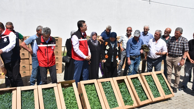 Tekirdağ'da üreticilere yazlık sebze fidesi dağıtıldı