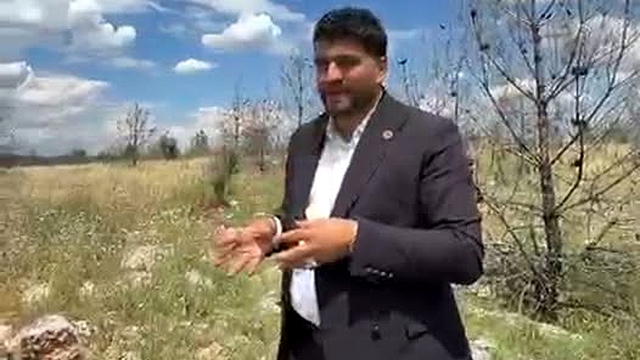 Vatandaşlardan ormanlık alana arazi yolu talebi