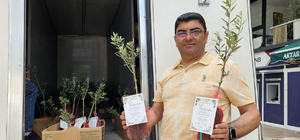 5 bin zeytin fidanı dağıtıp, oğlunun düğününe çağırdı