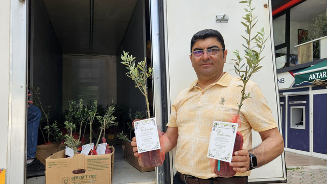 5 bin zeytin fidanı dağıtıp, oğlunun düğününe çağırdı