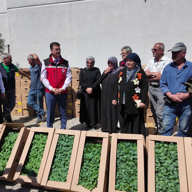 Tekirdağ'da 407 üreticiye 256 bin yazlık sebze fidesi dağıtıldı