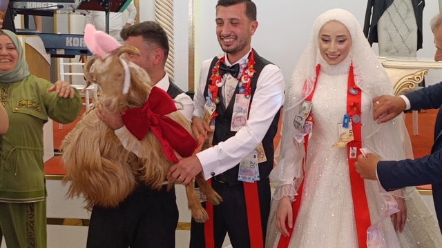 Düğünde altın değil keçi takıldı