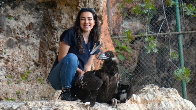 Doğaya dönemeyen yırtıcıların yavruları için yeni proje