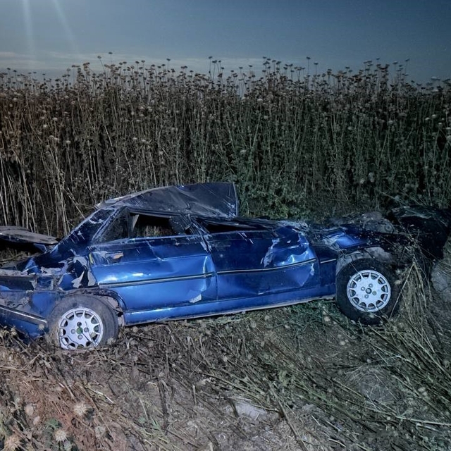 Şanlıurfa'da otomobil şarampole devrildi: 4 yaralı