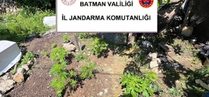Batman'da uyuşturucu ve kaçak ürün operasyonu