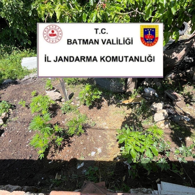 Batman'da uyuşturucu ve kaçak ürün operasyonu