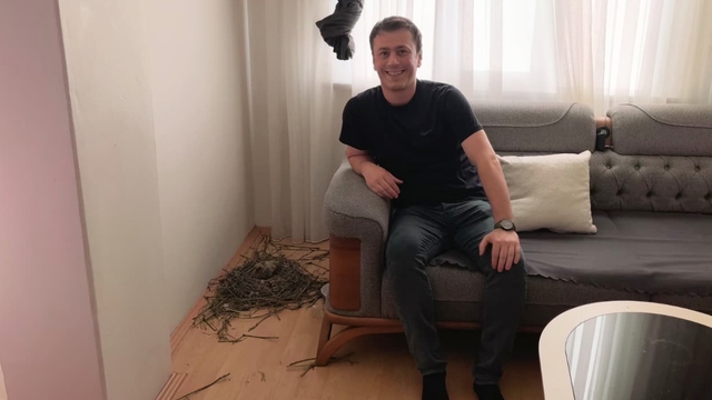 Evinin oturma odasına yuva yapan güvercinlere sahip çıktı