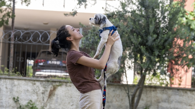 Mersin'de sahiplendirme kampanyasıyla bin 927 köpek yeni yuvasına kavuştu