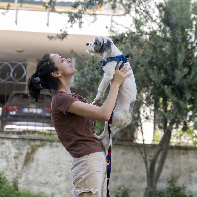 Mersin'de sahiplendirme kampanyasıyla bin 927 köpek yeni yuvasına kavuştu