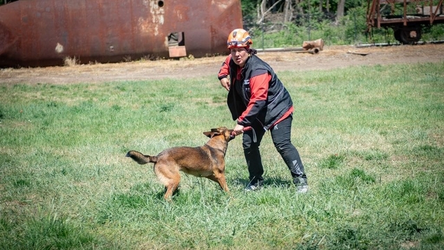 Muğla NAK Arama Kurtarma Köpekleri Macaristan'da sahaya indi
