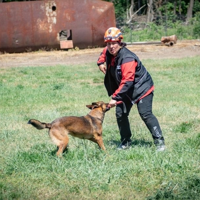 Muğla NAK Arama Kurtarma Köpekleri Macaristan'da sahaya indi