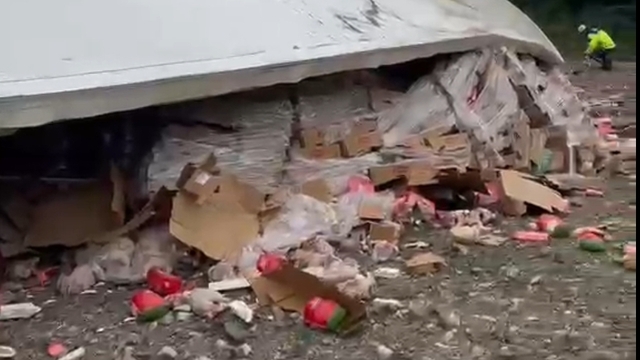 Tavuk eti yüklü TIR şarampole devrildi: 2 yaralı