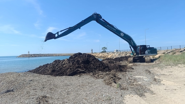 Edirne'de Sultaniçe sahilinde temizlik çalışması yapıldı