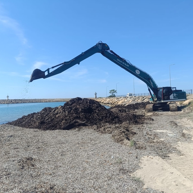 Edirne'de Sultaniçe sahilinde temizlik çalışması yapıldı