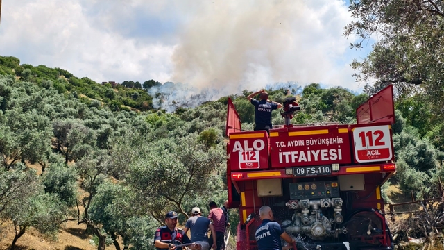 Yenipazar'daki otluk alan yangını kontrol altına alındı