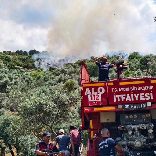 Yenipazar'daki otluk alan yangını kontrol altına alındı