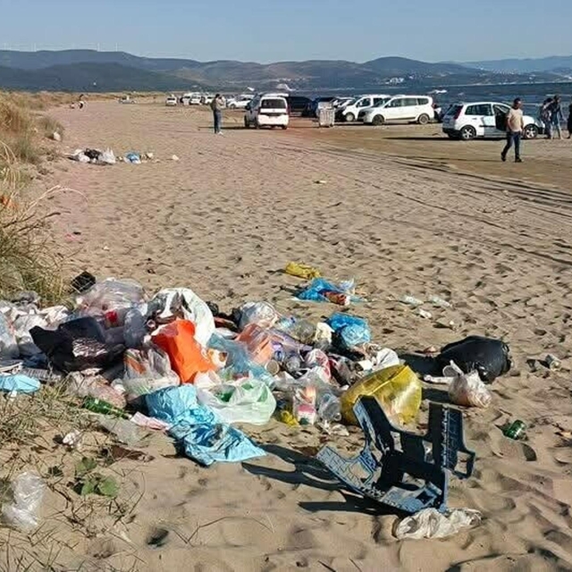 'Deniz kaplumbağalarının yuvalama alanı kıyı kumullar tehlike altında'