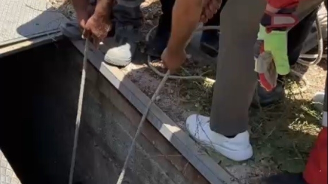 Havalandırma boşluğuna düşen eşek kurtarıldı