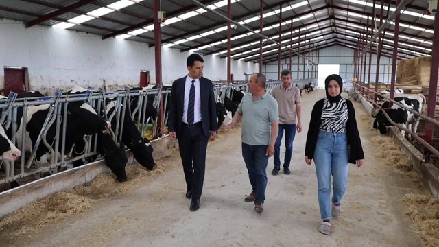 Beylikova Kaymakamı Kantilav, hayvancılık faaliyetlerini inceledi