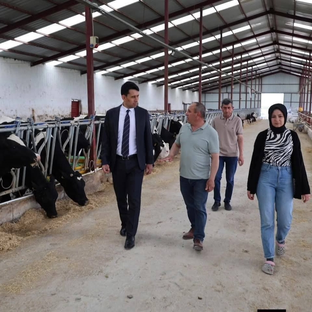 Beylikova Kaymakamı Kantilav, hayvancılık faaliyetlerini inceledi