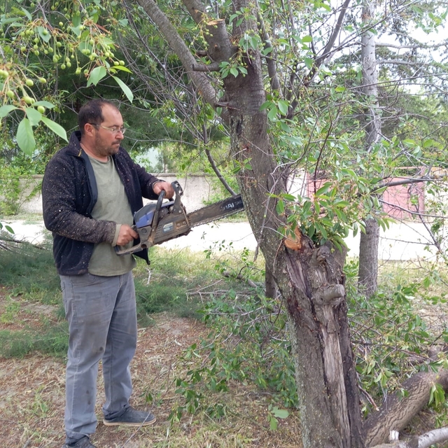 Yarımca Köyü muhtarından örnek davranış
Köyün parkındaki çürüyen ve kuruyan...