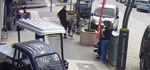 Köpeğine saldıran kediye tekme attı, o anlar kameraya yansıdı