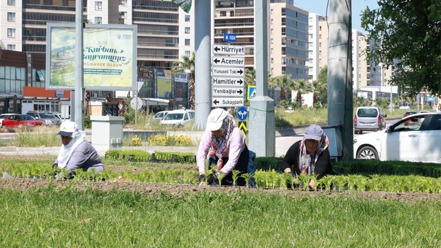 Bu yaz Osmangazi'de çiçek kokuları eksik olmayacak
Osmangazi'nin her yeri çiçeklerle donatılıyor