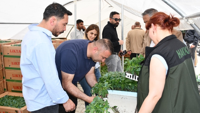 Hakkari'de üreticilere sebze fidesi dağıtıldı
