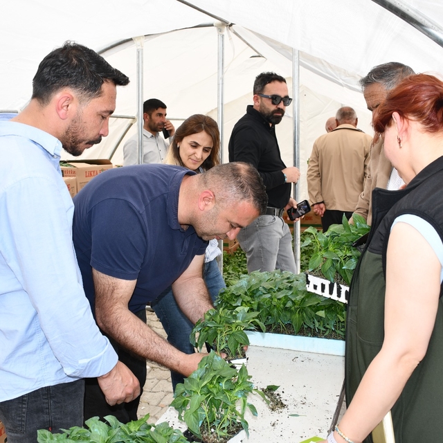 Hakkari'de üreticilere sebze fidesi dağıtıldı