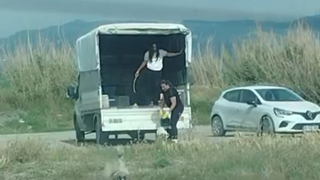 Kuşların doğal alanına kamyonetle çok sayıda köpek bıraktılar