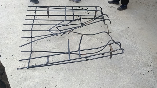 Giresun'da ayı alarmı
3 bölgede ayılar için görüldüğü yerde vurulması izni çıktı