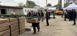 Yüksekova'da üreticilere sebze fidesi dağıtıldı