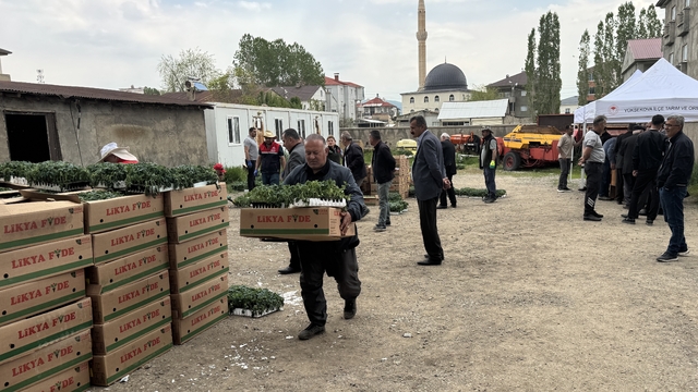 Yüksekova'da üreticilere sebze fidesi dağıtıldı